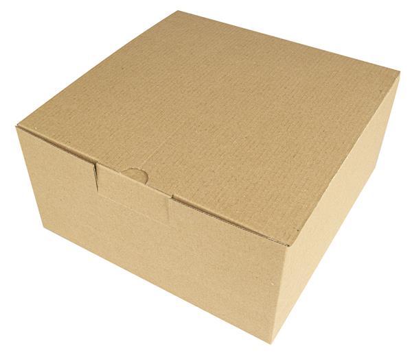 Pudełko kartonowe - 21,5 x 21,5 x 10,5 cm-1195498