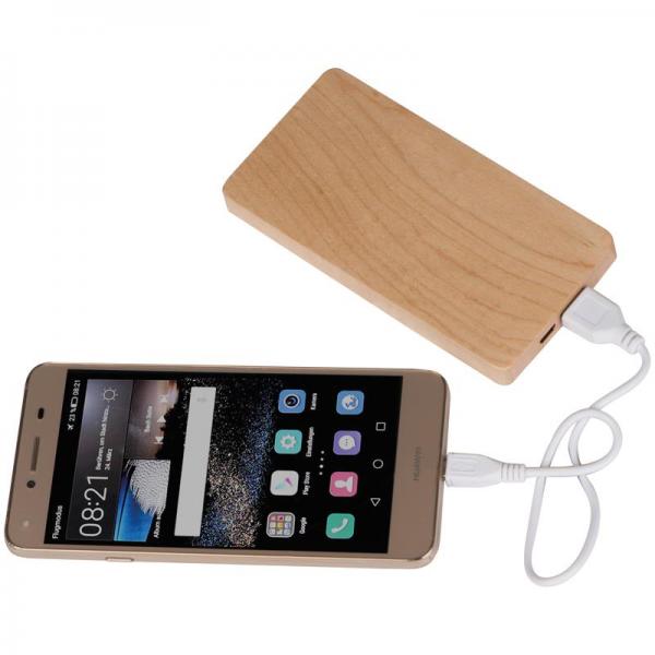 Power bank 4000 mAh 2076213-165865