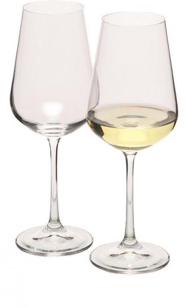 Zestaw 2 kieliszków do białego wina MORETON 2, 250 ml H1300200ZH166-167906